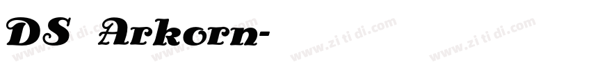 DS Arkorn字体转换